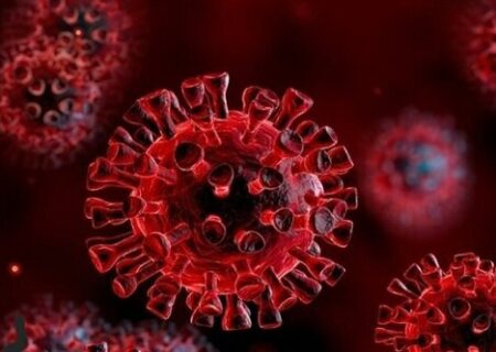پیش‌بینی‌ها درباره ویروسی با قدرت انتشار کم و مرگ‌ومیر بالا
