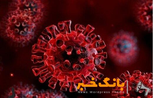 پیش‌بینی‌ها درباره ویروسی با قدرت انتشار کم و مرگ‌ومیر بالا