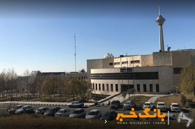 ضرب‌وشتم و فحاشی ماموران شهرداری به کارمندان دانشگاه/هیچ درختی در مراکز دانشگاه تهران قطع نشده