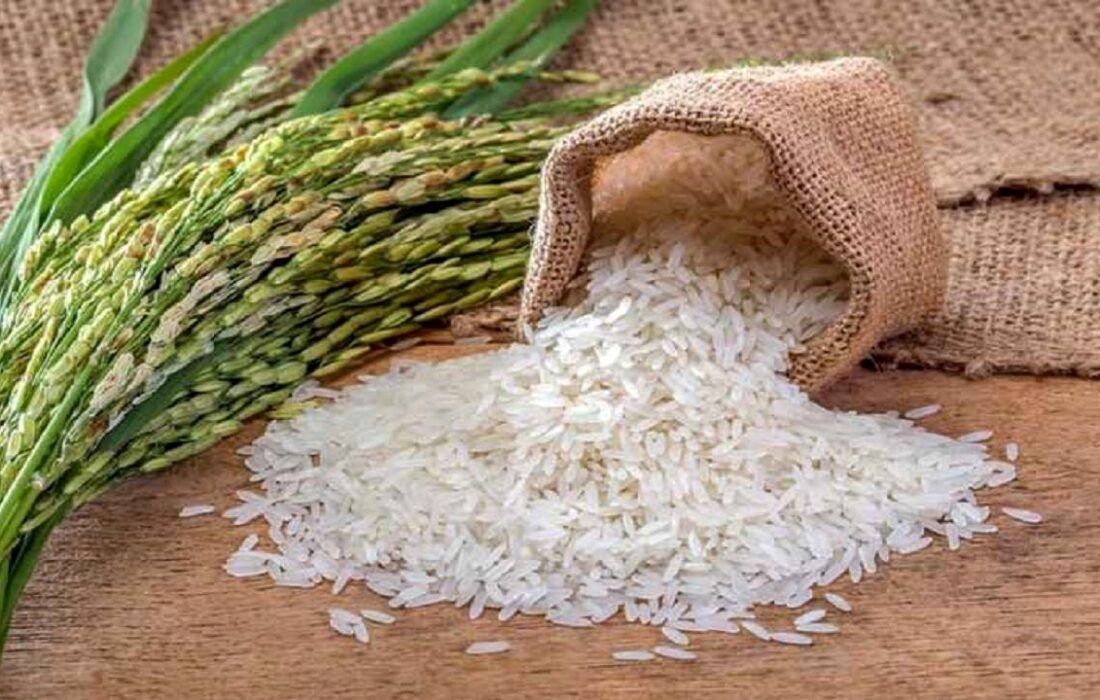 حذف محدودیت واردات برنج/ عرضه نامحدود برنج از امروز
