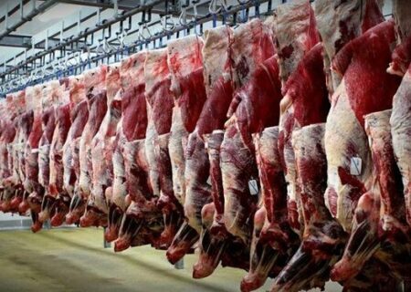 قیمت گوشت کاهش می‌یابد/ تا بهار ۱۴۰۳ واردات گوشت صفر خواهد شد