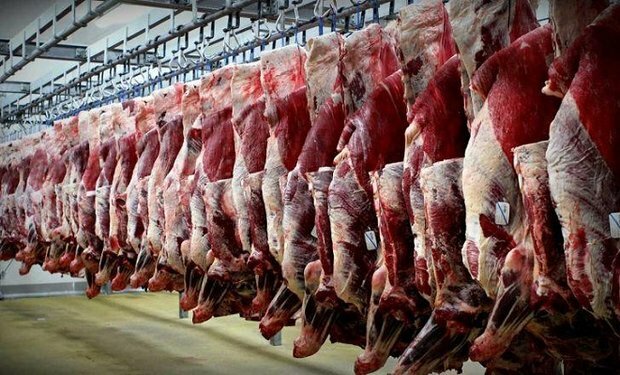 قیمت گوشت کاهش می‌یابد/ تا بهار ۱۴۰۳ واردات گوشت صفر خواهد شد