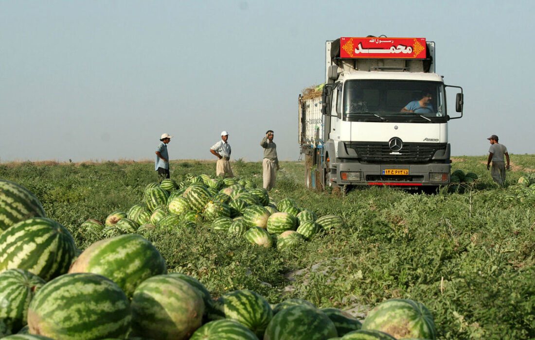 عراق صادرات ۵ محصول کشاورزی را آزاد کرد