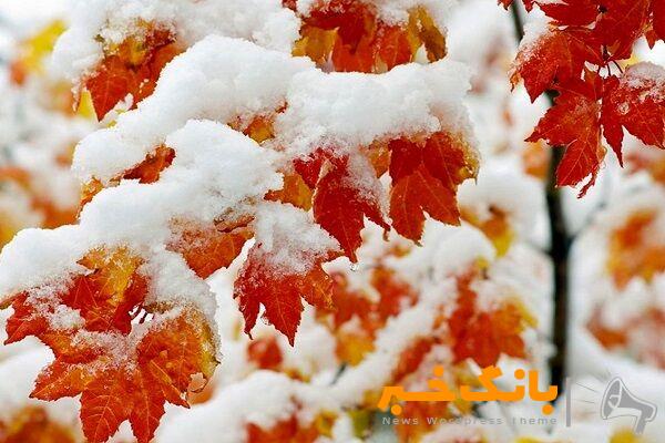 بارش برف در مناطق سردسیر البرز مرکزی و اردبیل