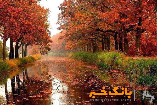 آغاز بارش‌های رگباری در تهران و ۱۳ استان کشور