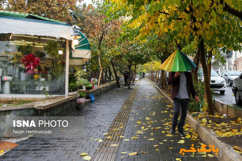 باران و باد شدید در تهران/ بازگشت آلودگی هوا از فردا