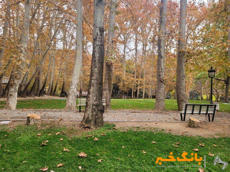 شکایت شهرداری تهران از کاخ سعدآباد بابت قطع ۱۵ درخت/ پیگیری برای اجرای حکم کمیسیون ماده ۷