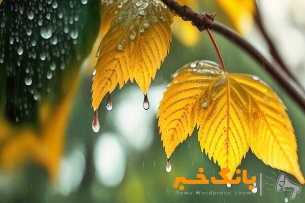 تشدید بارش‌ها در مازندران، گلستان و خراسان شمالی