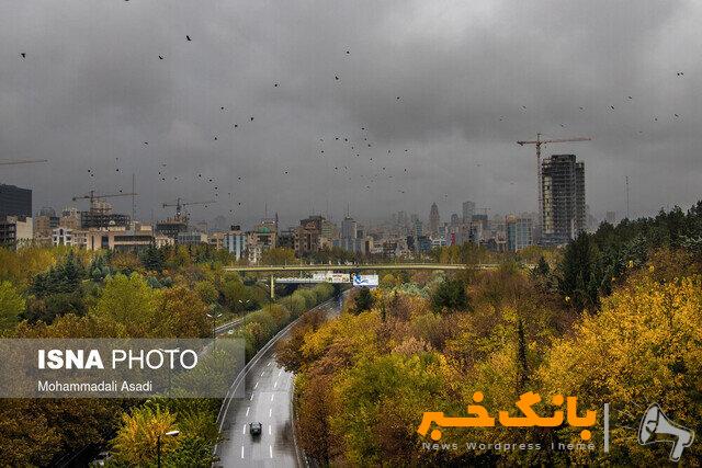 بارش متناوب باران تا دوشنبه شب در تهران