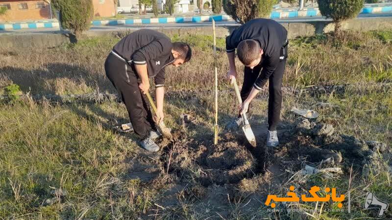 کاشت نهال در خانه‌ تهرانی‌ها از امروز تا پایان اسفند/ اعلام درخواست‌ از طریق ۱۳۷