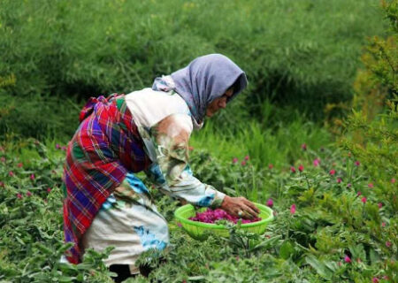 احتمال واریز «عیدی» مستمری‌بگیران صندوق روستاییان ظرف هفته آتی