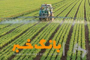 کاهش سموم کشاورزی با تولید آفتکش زیست سازگار ایرانی