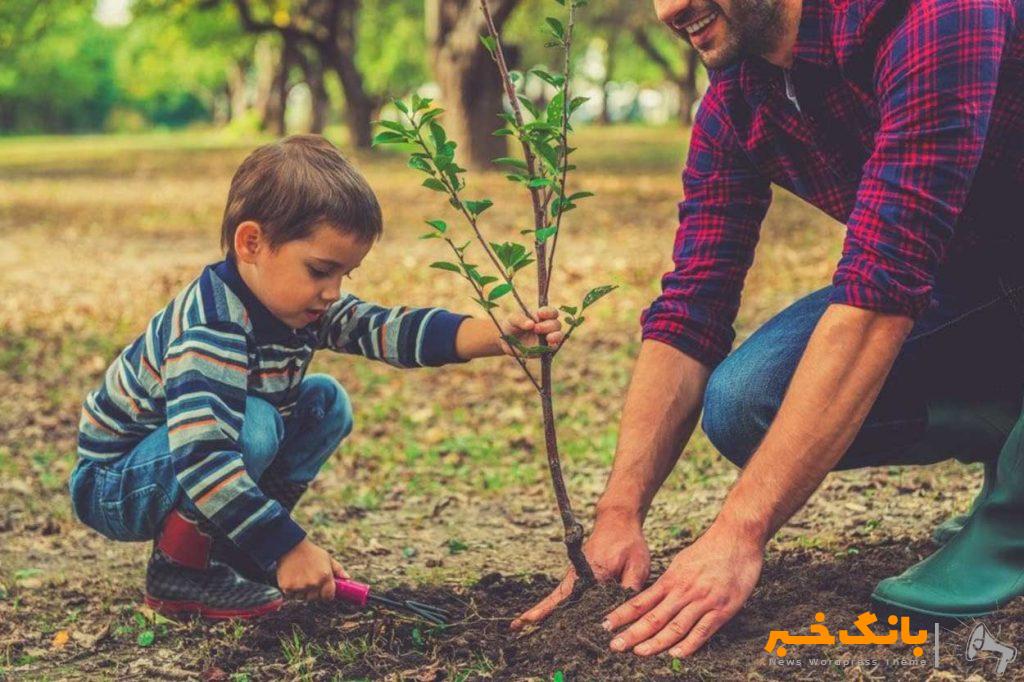 پیام تبریک دکتر تبریزی مدیر عامل صندوق شاهد بمناسبت روز درخت کاری