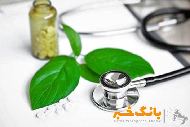 بکارگیری طب ایرانی در درمان ناباروری / ارائه خدمات در ۵۶ سلامتکده دولتی و خصوصی