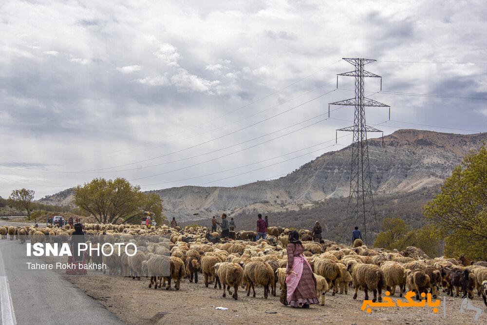 ورود بی ضابطه گردشگران در مناطق عشایری ممنوع/ استقرار سامانه‌های خورشیدی برای عشایر