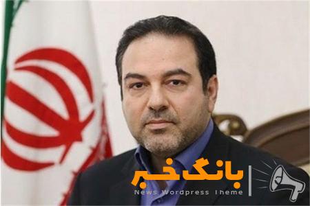 توجه به جوانی جمعیت ما را از مشکلات سالمندان غافل نکند