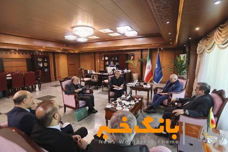 دیدار و گفتگوی مدیران موسسه بهداری رزمی با وزیر بهداشت