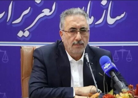 گزارش ۲۵ هزار تخلف از نانوایی‌ها در ۷ ماه/ تشکیل ۳ هزار و ۵۳۶ پرونده برای مشاورین املاک