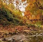 برگزاری رویدادهای ورزشی ملی در روددره فرحزاد/ تملک برخی از باغ‌های اطراف رودددره فرحزاد در دستور کار است