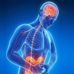 توصیه‌های کلیدی برای پیشگیری از بیماری‌های گوارشی در پیاده روی اربعین